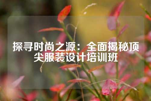 探寻时尚之源：全面揭秘顶尖服装设计培训班