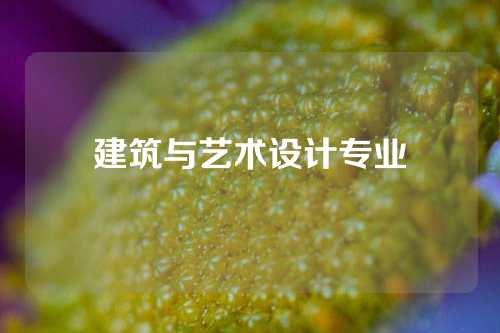 建筑与艺术设计专业