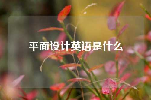 平面设计英语是什么