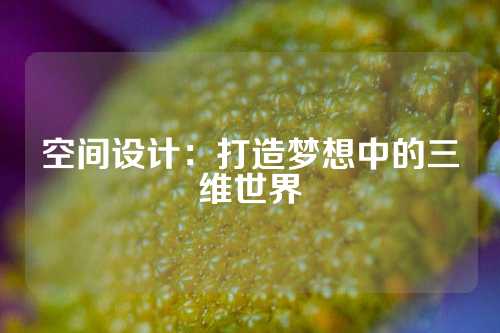 空间设计：打造梦想中的三维世界