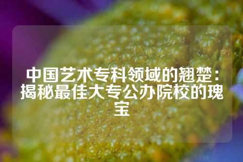 中国艺术专科领域的翘楚：揭秘最佳大专公办院校的瑰宝