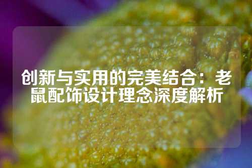 创新与实用的完美结合：老鼠配饰设计理念深度解析