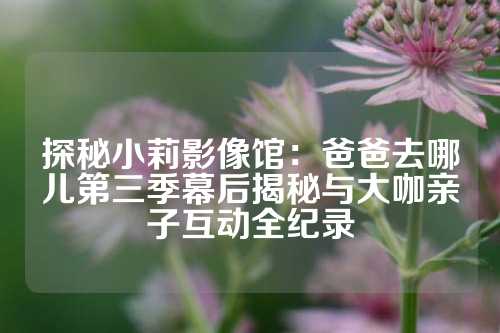 探秘小莉影像馆：爸爸去哪儿第三季幕后揭秘与大咖亲子互动全纪录