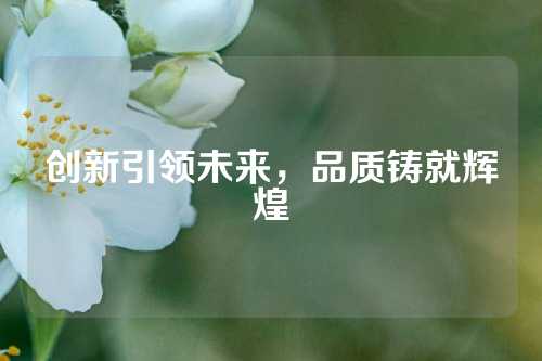 创新引领未来，品质铸就辉煌