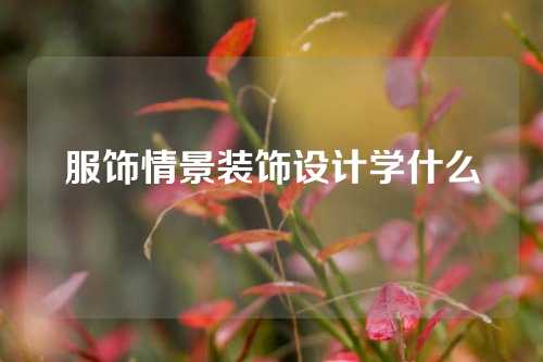 服饰情景装饰设计学什么