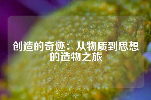 创造的奇迹:从物质到思想的造物之旅