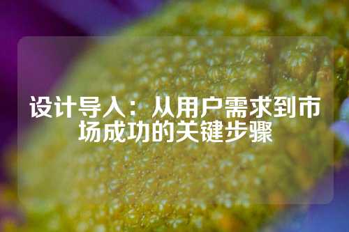 设计导入：从用户需求到市场成功的关键步骤