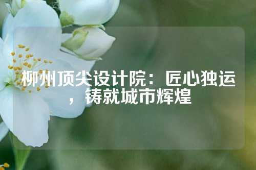 柳州顶尖设计院：匠心独运，铸就城市辉煌