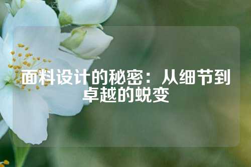 面料设计的秘密：从细节到卓越的蜕变