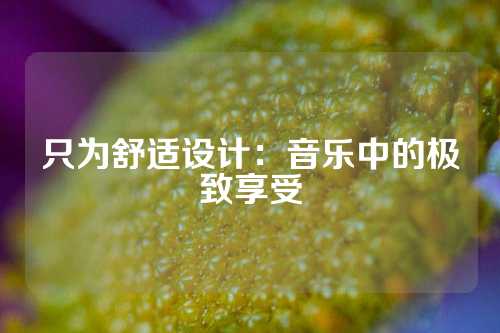 只为舒适设计：音乐中的极致享受