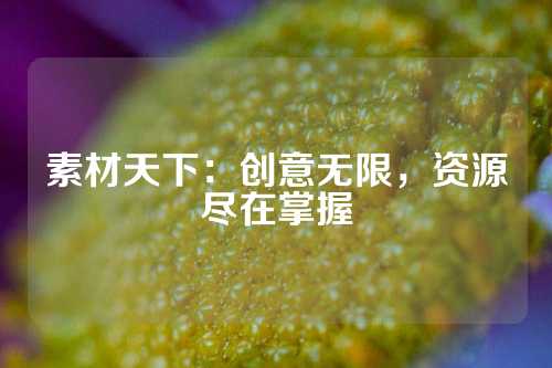 素材天下：创意无限，资源尽在掌握