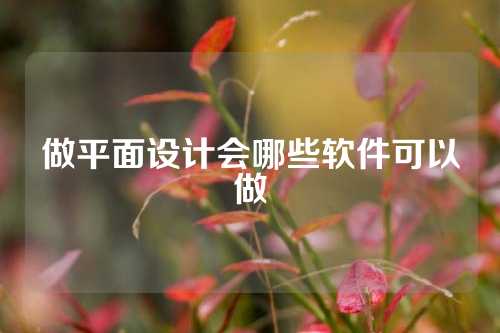 做平面设计会哪些软件可以做