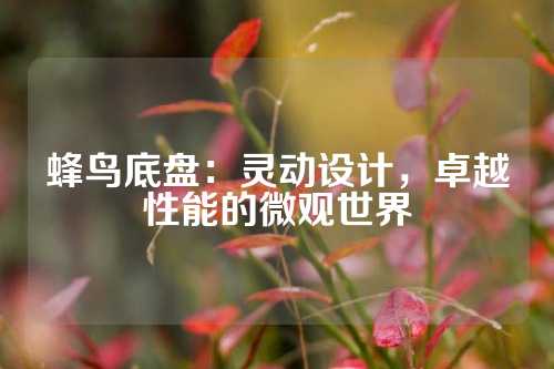 蜂鸟底盘：灵动设计，卓越性能的微观世界