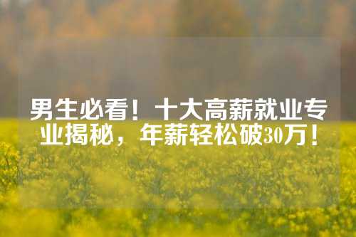 男生必看!十大高薪就业专业揭秘,年薪轻松破30万!