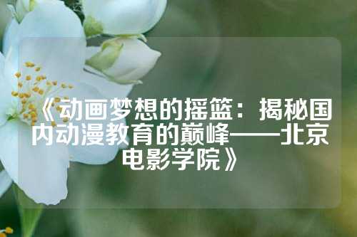 《动画梦想的摇篮：揭秘国内动漫教育的巅峰——北京电影学院》