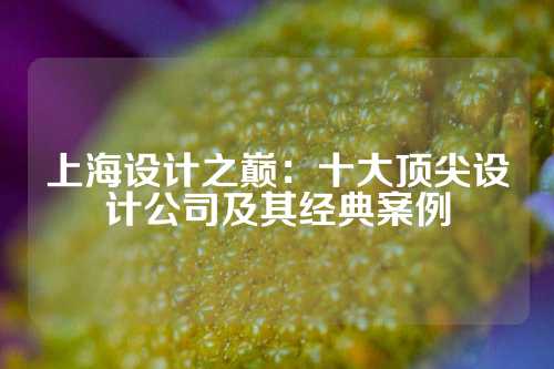 上海设计之巅：十大顶尖设计公司及其经典案例