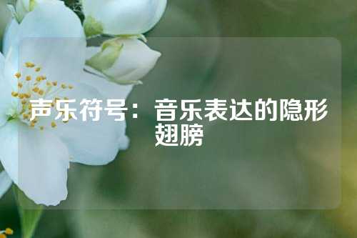 声乐符号：音乐表达的隐形翅膀