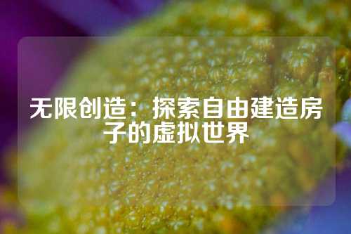 无限创造：探索自由建造房子的虚拟世界