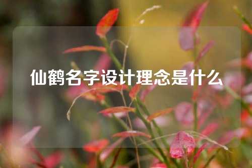 仙鹤名字设计理念是什么