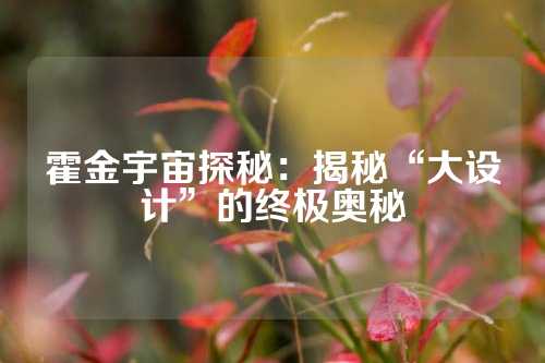 霍金宇宙探秘：揭秘“大设计”的终极奥秘