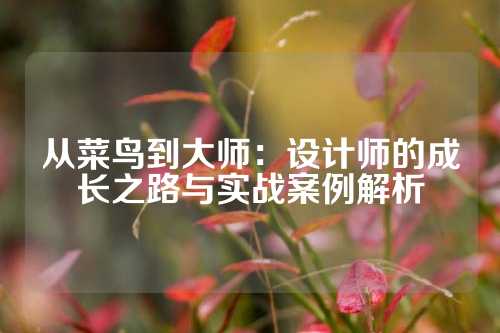 从菜鸟到大师:设计师的成长之路与实战案例解析
