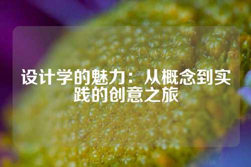 设计学的魅力：从概念到实践的创意之旅