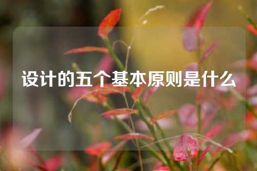 设计的五个基本原则是什么