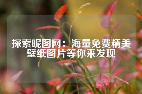 探索昵图网：海量免费精美壁纸图片等你来发现