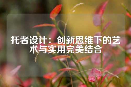 托者设计：创新思维下的艺术与实用完美结合