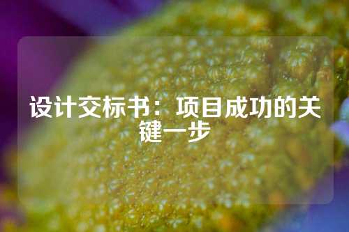 设计交标书：项目成功的关键一步