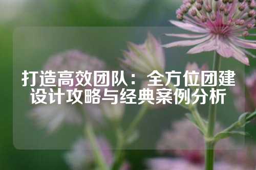 打造高效团队：全方位团建设计攻略与经典案例分析