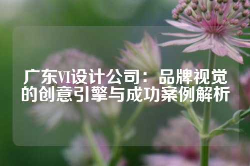 广东VI设计公司：品牌视觉的创意引擎与成功案例解析