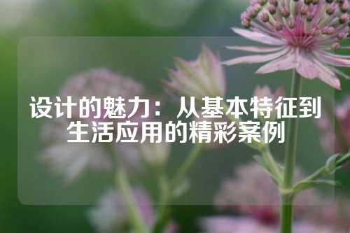 设计的魅力：从基本特征到生活应用的精彩案例