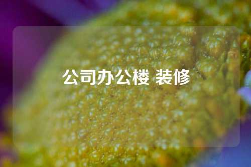 公司办公楼 装修