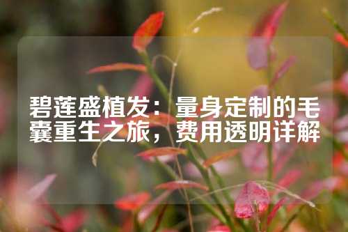碧莲盛植发：量身定制的毛囊重生之旅，费用透明详解