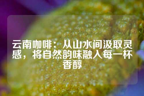 云南咖啡：从山水间汲取灵感，将自然韵味融入每一杯香醇