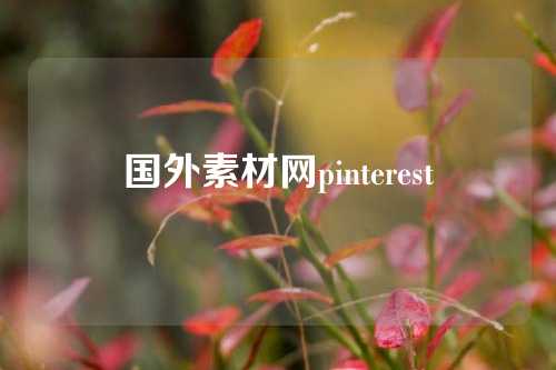 国外素材网pinterest
