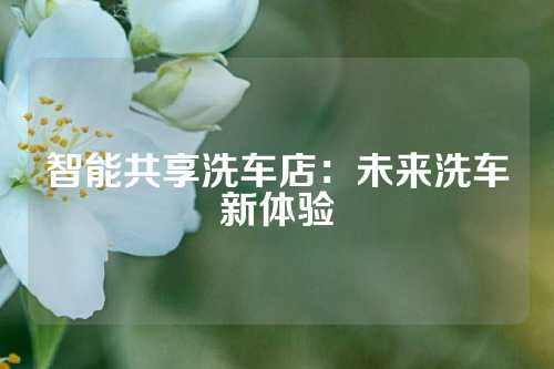 智能共享洗车店：未来洗车新体验
