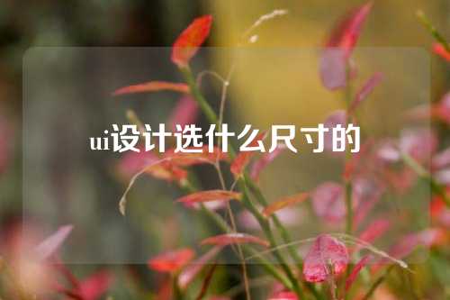 ui设计选什么尺寸的