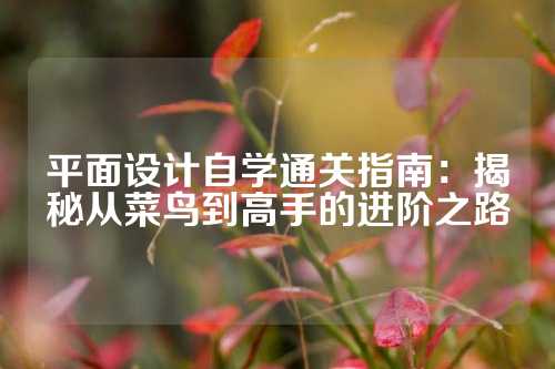 平面设计自学通关指南：揭秘从菜鸟到高手的进阶之路