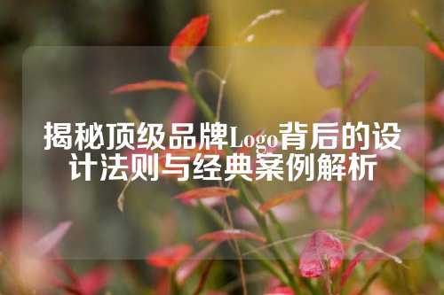 揭秘顶级品牌Logo背后的设计法则与经典案例解析