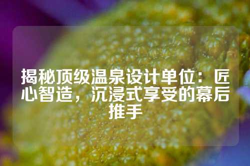 揭秘顶级温泉设计单位：匠心智造，沉浸式享受的幕后推手