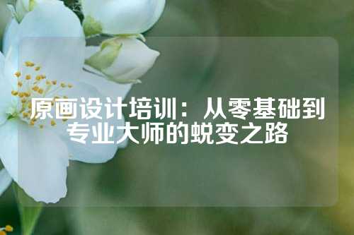 原画设计培训：从零基础到专业大师的蜕变之路