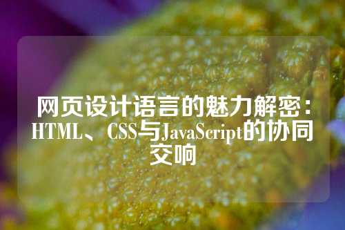 网页设计语言的魅力解密：HTML、CSS与JavaScript的协同交响