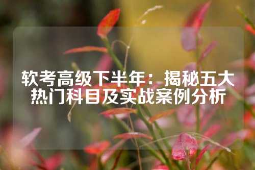 软考高级下半年:揭秘五大热门科目及实战案例分析