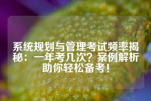 系统规划与管理考试频率揭秘：一年考几次？案例解析助你轻松备考！