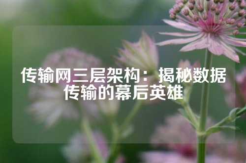 传输网三层架构:揭秘数据传输的幕后英雄