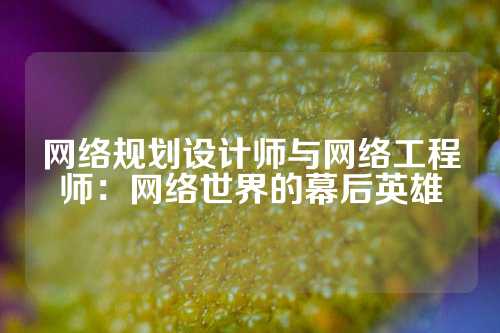 网络规划设计师与网络工程师：网络世界的幕后英雄