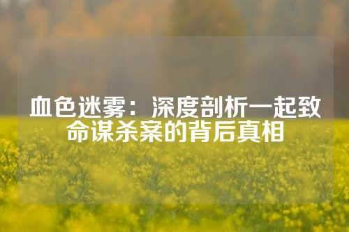 血色迷雾：深度剖析一起致命谋杀案的背后真相