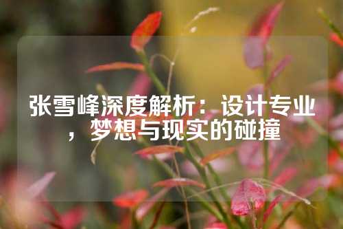 张雪峰深度解析：设计专业，梦想与现实的碰撞